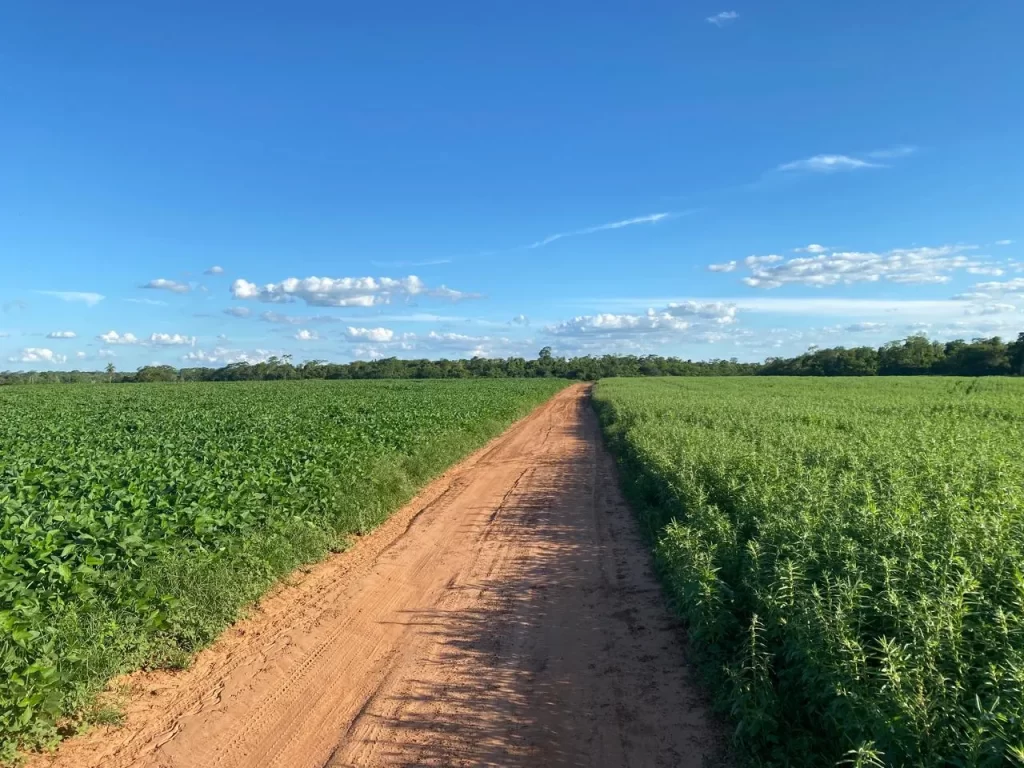 soy field invest paraguay