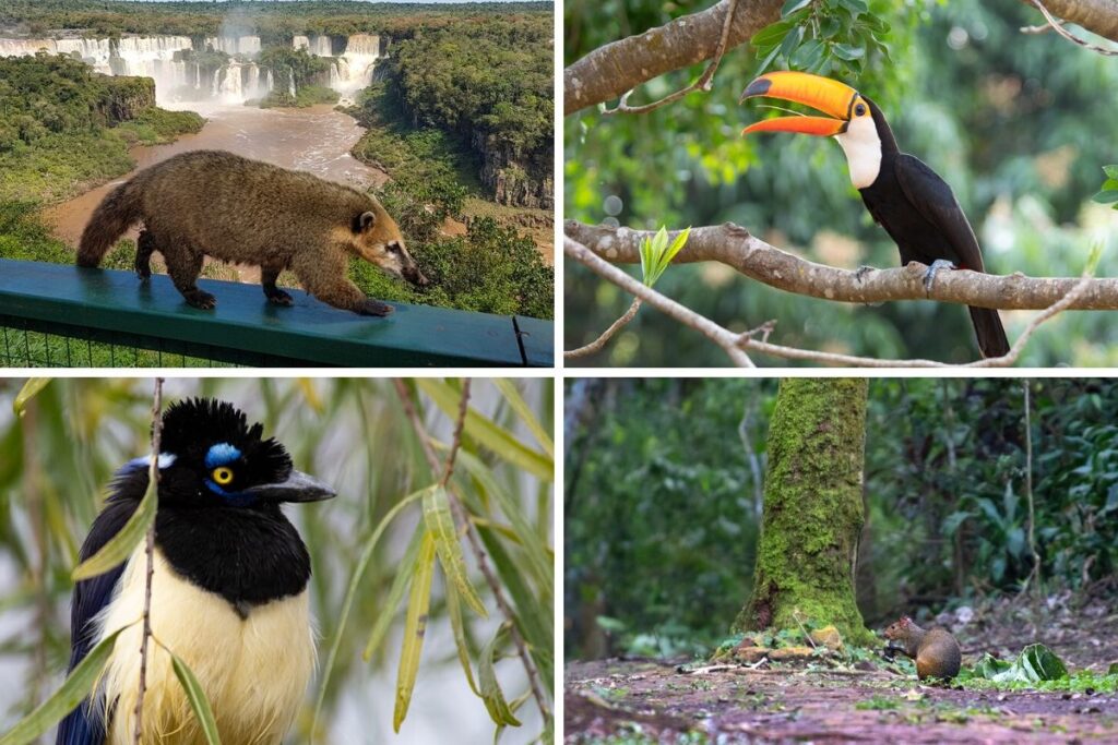 tourism paraguay